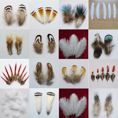 Wholesale Natural Peacock Pheasant Feather Chicken Plumes For DIY Needlework Handicrafts Headdress Small Decor Jewelry Creation