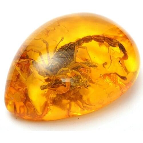 Fashion Natural Scorpion Insect Inclusion Amber Baltic Gemstone Pendant Necklace Sweater Decoration DIY Craft Gift