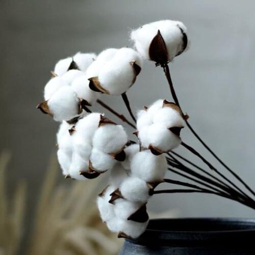 Naturally Dried Cotton Stems Farmhouse Artificial Flower Filler Floral Branch for DIY Wedding Party Fake Flowers Home Decoration