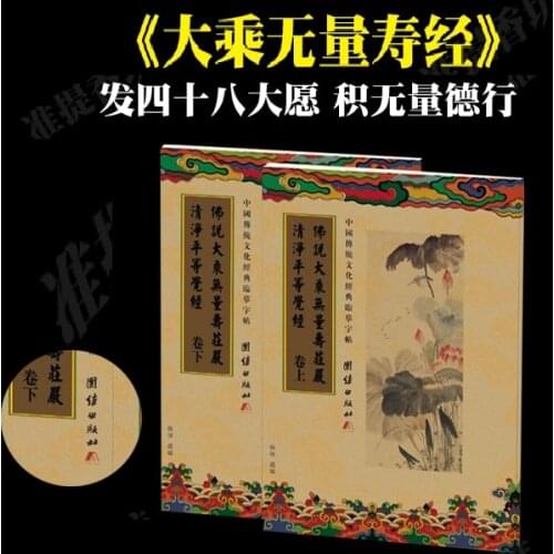 2 books Chinese Religion Culture Mahayana Doctrine Infinite Shoujing Sutra Auto Dry Repeat Practice CopyBook Pen Bag Set Age 16