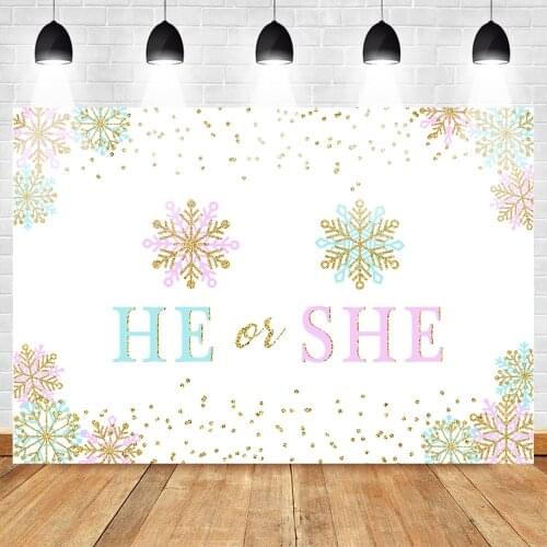 Gender Reveal Winter Baby Shower Background Boy or Girl She or He Newborn Snowflake Baby Shower Background Baby Shower Banner