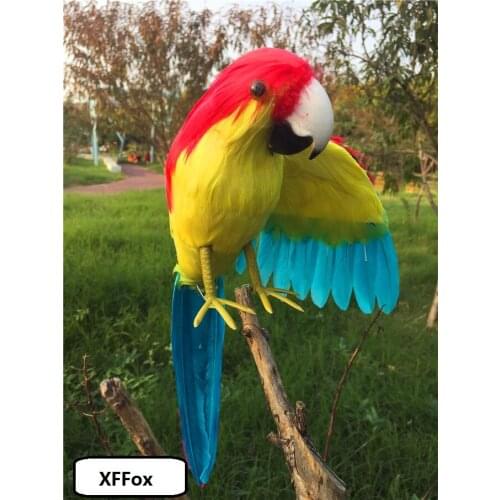 Creative real life one wing parrot model foam&feather red yellow&blue parrot bird gift about 30cm xf2595