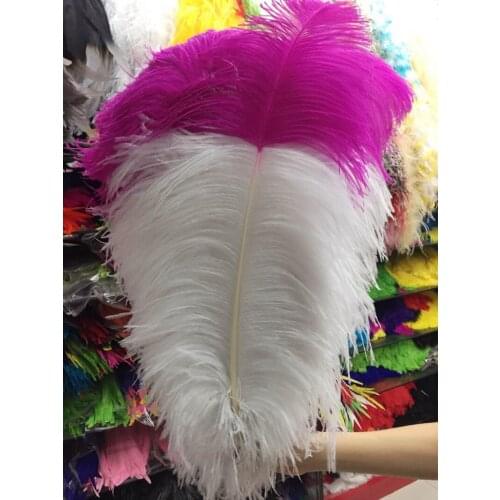 Cking Brand! Factory 50pcs Bi-colors Dyed Ostrich Feathers 70-75cm Dyed colorful Tipped Ostrich Plumes for wedding decorations