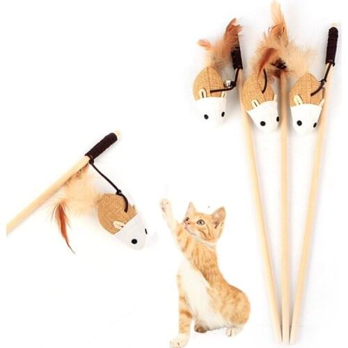 APRICOT Products For Cats