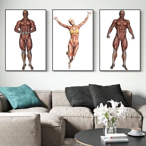 Muscle Map Human Body Oil Painting Hanging Picture Poster Canvas Print Painting Wall Art Living Room Home Decoration