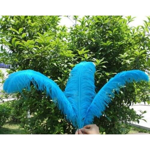 Wholesale high quality 10 pcs natural ostrich feather 55-60cm Lake Blue