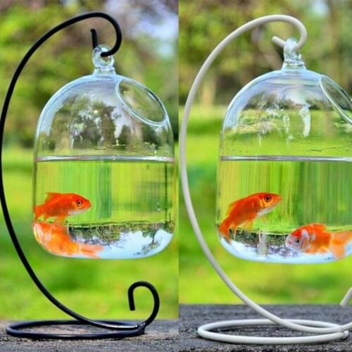 2019 Creative hanging glass vase fish tank black shelf goldfish tank accessories