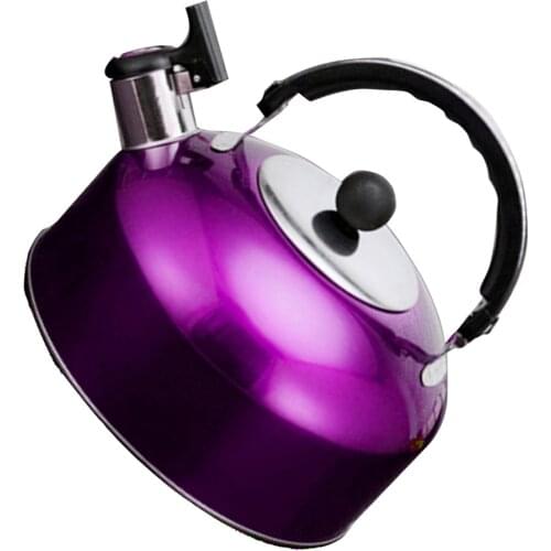 Stainless Steel Whistling Coffee Tea Kettle Camping Boat Water Pot & Handle