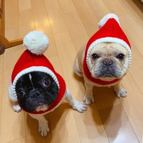 Pet Knitting Wool Dog Santa Hat for Small Dogs Cats Hats for Cats Cute Fashion Small Dog Hat Dogs Pets Accessories