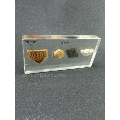 Образовательные оборудования BiNFUL China At AliExpress