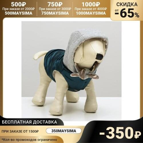 COCOA HONEY Jackets For Dogs