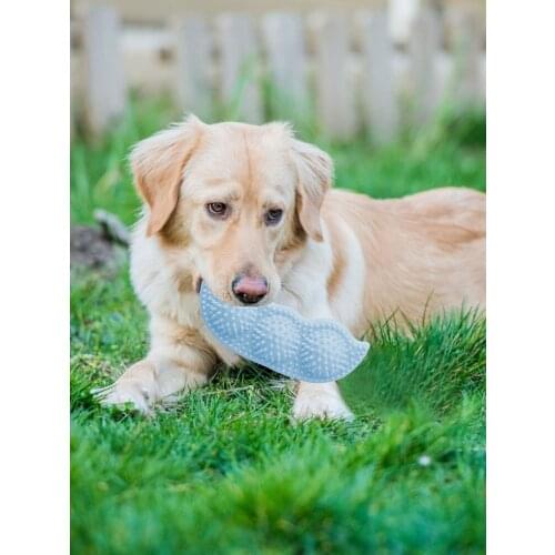 Pet Toy Chew Tpr Molar Bite Resistant Interactive Dog Toy Training Puzzle Dog Bite Stick Bouncy Ball