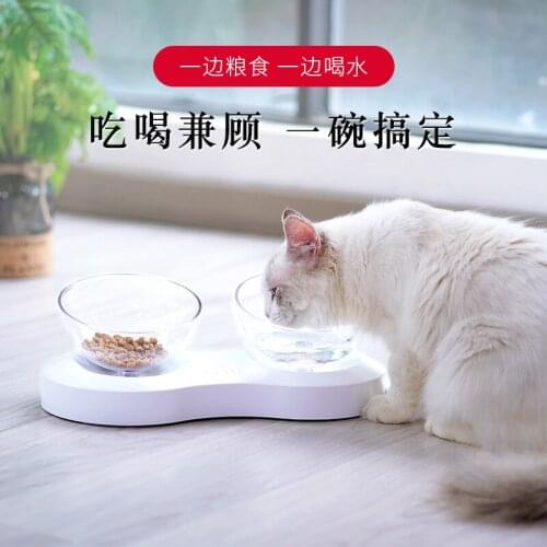 Adjustable Cat Double Bowl Pet Drinking Bowl Cat Food Bowl Oblique Mouth Transparent Cat Feeding Supplies