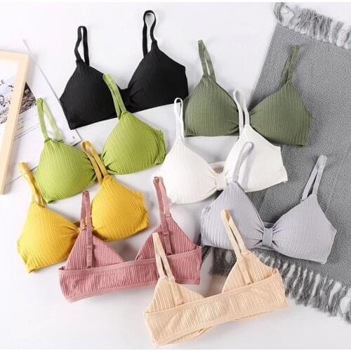 Seamless Sport Bra Top Women Fitness Suit Shockproof Running Yoga Wear Cotton Bra Women Gym Workout Push Up Underwear Vest Women