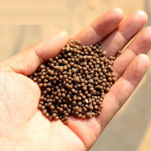 100g diammonium phosphate DAP Plant, fruit, vegetable and flower plants, general organic manure compound fertilizer for rose