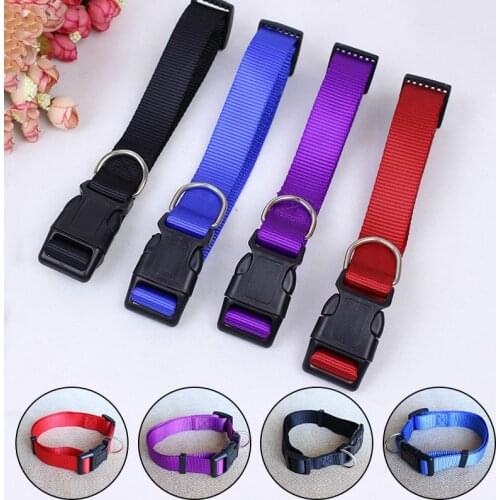 No LED Solid Color Dog Collar for Small Medium Dogs Adjustable Dogs Pets Accessories Chihuahua Puppy Collars Coleira Cachorro