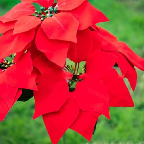 Solar Lights Outdoor Inserted Lawn Light 4 LED White Lights Garden Light Christmas Lantern LED Christmas Solar Led Lamp