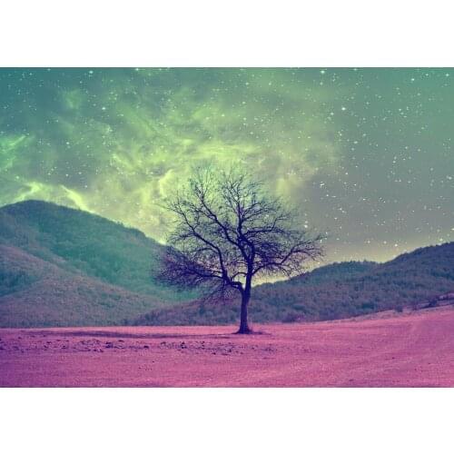 WXPYU Wall Stickers Trees