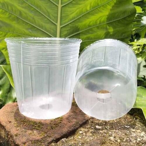 New 50PCS Transparent Seedling Cup Succulent Orchid Transparent Pot Nutrition Bag Seedling Cup Nutrition Bowl Flower Pot