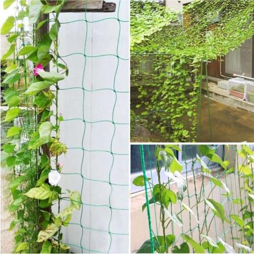 24-strand Heavy Garden Plants Climbing Net Nylon Trellis Net Grow Net Holder Morning Glory Grape Silk Cucumber Flower Vine Net