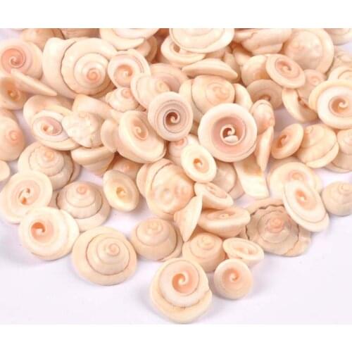 50pcs Natural Shell slicing Beads Nonporous beads for Hand decorated home furnishings and aquarium accessories TRS0418