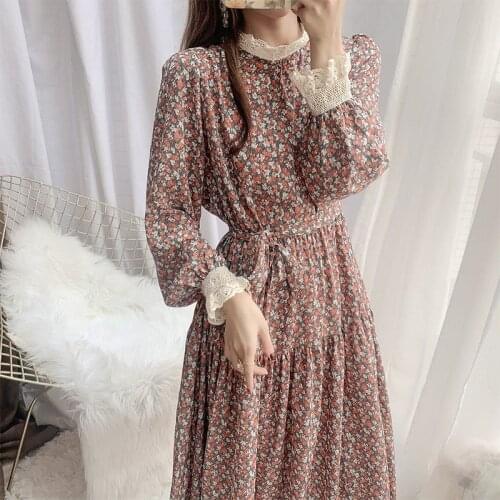 Women Chiffon Dress Two Layers 2020 Autumn Winter Fashion Female Long Sleeve Vintage Printed Casual Dresses Loose A-line Vestido