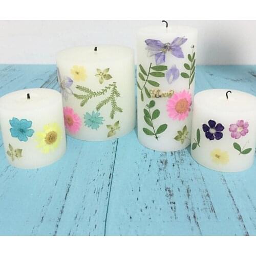 Multi Pressed Real Flower Dried Flowers for Scrapbooking Card Making Phone Decor