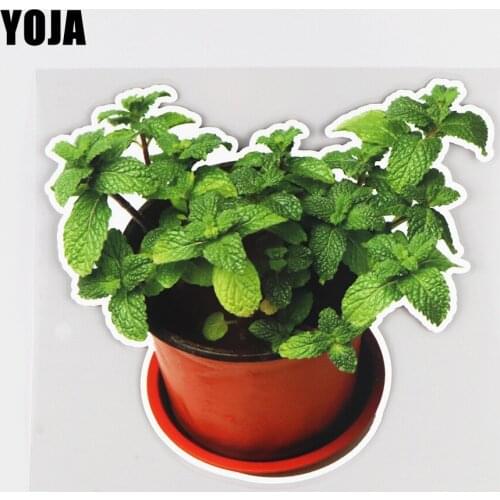 YOJA 17.4×15.7CM Mint Pot Plant Creative Scratch Occlusion Car Sticker Body Decoration Accessories 19B-0066