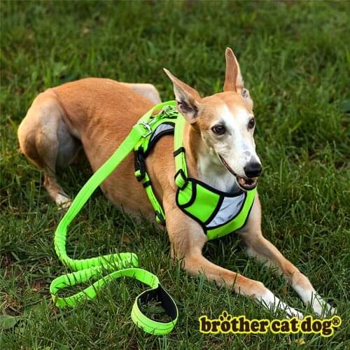 Reflective Pet Dog Harness Leash Training Vest for Puppy Big Dogs Adjustable Professional Harness Safety Vehicular Collar Dog