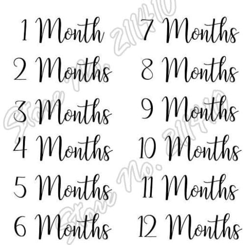 12 Month Schedules Planner Decor Baby Month Children Nursery Wall Decals Removable Vinyl Lettering Sticker B280