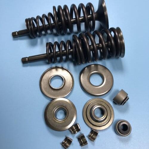 Buyang FA D300 G300 H300 300CC ATV Intake Valve and Exhaust Valve Assembly with Seals and Springs ATV Parts
