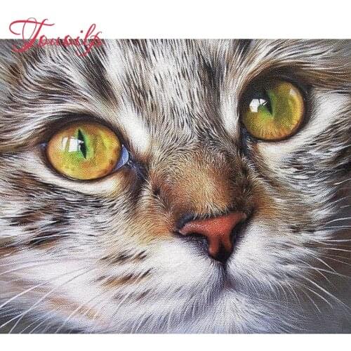 100% Full 5D Diy Daimond Painting Lovely Cat Face 3D Diamond Painting Round&Square Rhinestones Diamant Painting Embroidery Gifts