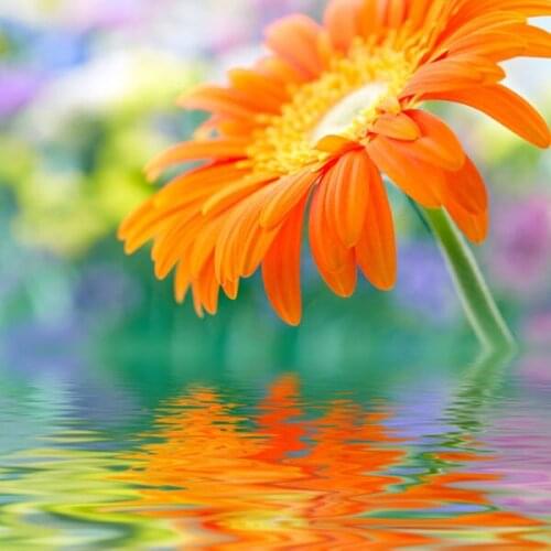 A14013 11CT/14CT/18CT/25CT/28CT oil scenery patterns Counted Cross Stitch DIY Cross Stitch Kits Embroidery Needlework Sets