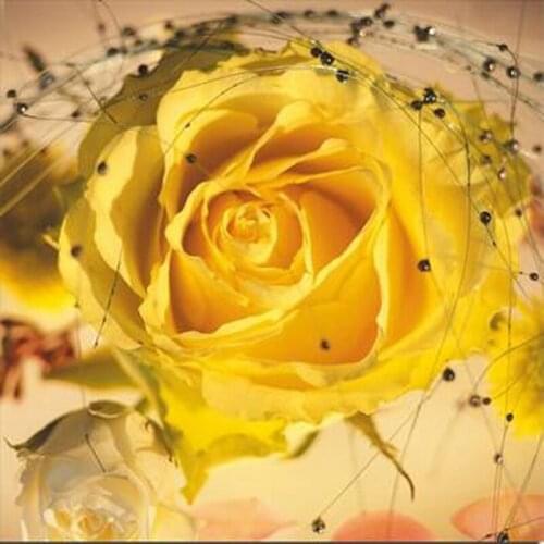 5D Diy Diamond Painting Cross Stitch Yellow Rose & Beads Needlework Diamond Embroidery Full Round Mosaic Decoration Resin Kits