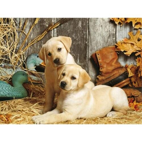 5D DIY Diamond Painting Rhinestone Cross Stitch Two Puppies Diamond Embroidery For Sale Full Square Animal Wall Art Painting