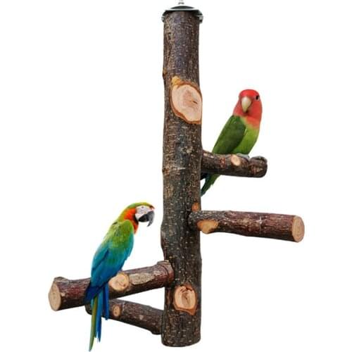 Pet Parrot Raw Wood Fork Tree Branch Stand Rack Toy Parrot Perches For Bird Cage Wooden Bird Stand Perch Stick Pole Bird Cage