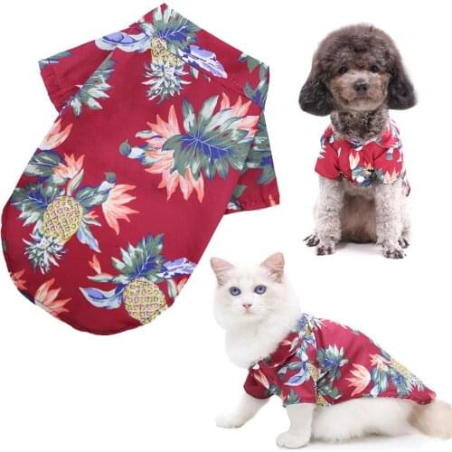 Жилетки для собак AUKUK China At AliExpress