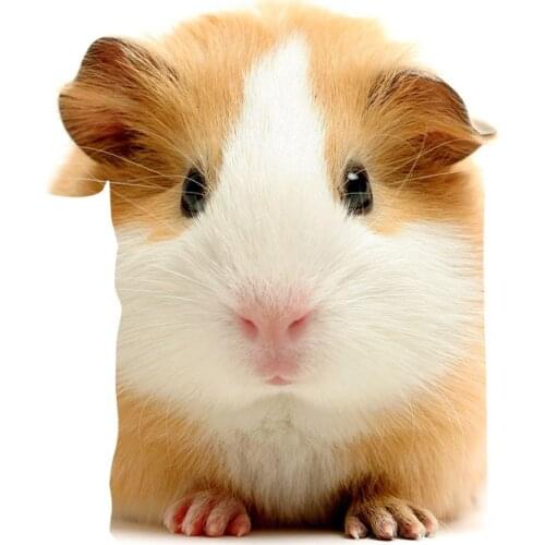 2021 New Summer T-Shirt Unisex Short-Sleeved 3D Printing T-Shirt Animal Series Mouse Round Neck Pullover XXS-6XL Wholesale