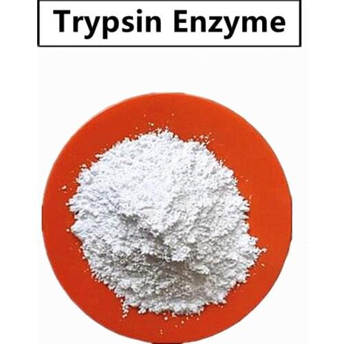 Pancreatin Powder/Organic Enzyme/High Quality Trypsin