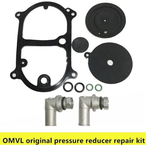 Cng Pressure Reducer Diaphragm Waterway Pad Seal Rubber Pad Oil to Gas Accessories OMVL Decompression Gas Repair Kit