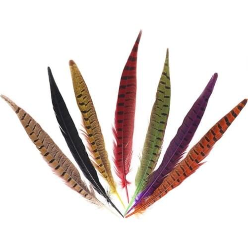 10-12 inch/25-30cm Natural Ringneck Pheasant Tail Feathers for Crafts Wedding Decorations Pheasant Feathers Carnival Plumas