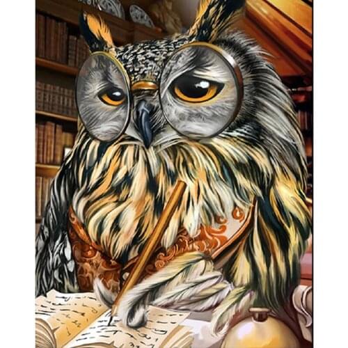 5d Diamond Painting Animal Owl Reading Full Drill Square Embroidery Sale Diamond MosaicPicture Rhinestone Home Decor Drop Ship