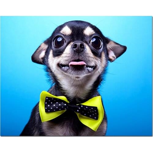 Diy Full square round drill 5d Diamond Painting Kits Chihuahua Diamond Embroidery Mosaic Animal Handmade Christmas GiftZP-3708