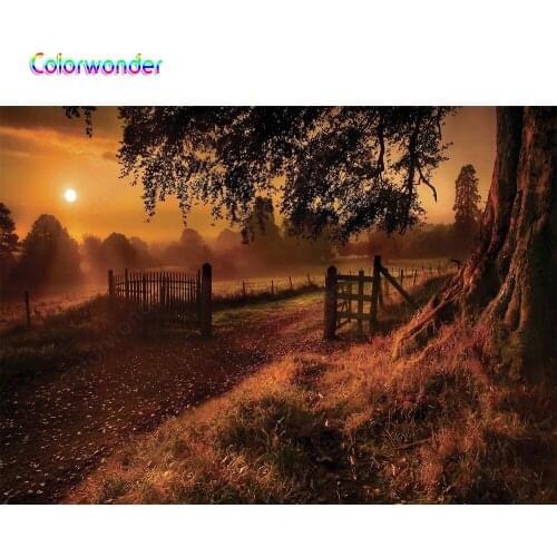 Autumn Backgrounds For Photography Fallen Sunshine Trees Baby Newborn Portrait Scene Photo Backdrop