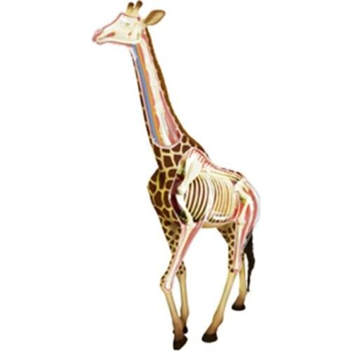Giraffe Animal Puzzle Assembly Toys Animal Giraffe Organ Skeletal Anatomy Medical Teaching Model Kids Model Building Kits Gifts
