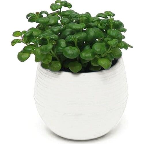 Round Plastic Flower Pot Plant Planter Garden Home Office Decor Candy Color Cute Garden Supplies