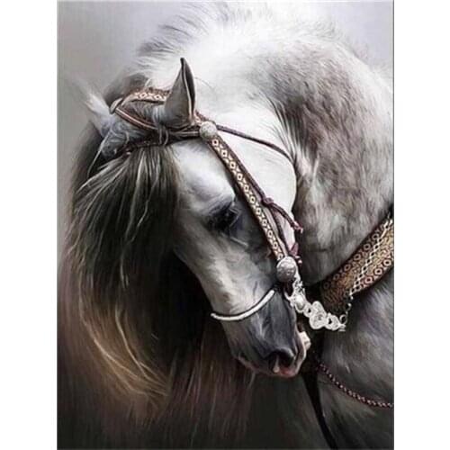 5D DIY diamond painting full circle diamond embroidery animal white horse home decoration mosaic Christmas gift
