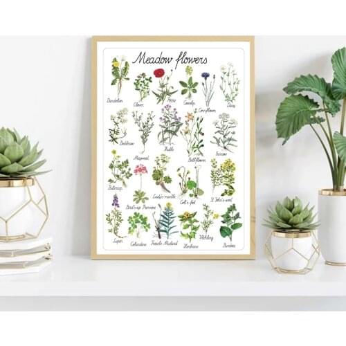 Meadow Flowers Chart Canvas Painting Plant Flower Species Botanical Educational Poster Print Wall Art Picture Kids Room Decor