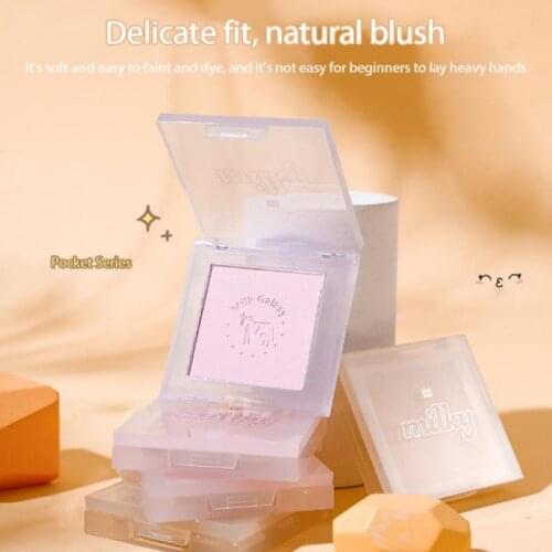 Monochrome Blush Palette Matte Waterproof Sweat-proof Eye Shadow Brighten Skin Tone Natural Makeup TSLM1