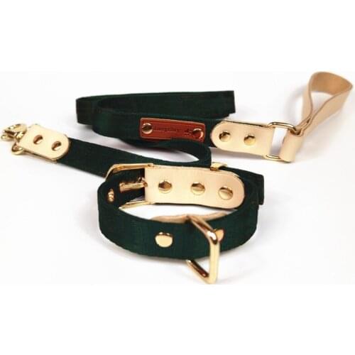 Fashion Pet Dog Adjustable Collar Leash Set For Small Medium Large Dogs Teddy Pug Personalized Leading Accessories A237